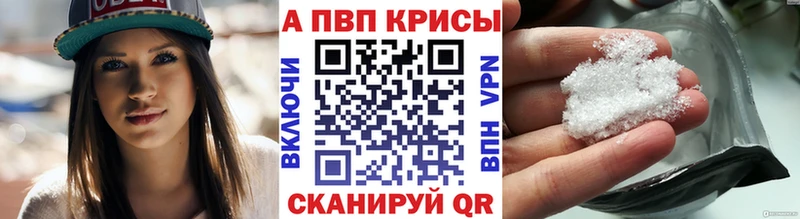 Alfa_PVP СК КРИС Пошехонье