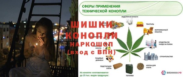 шишки Арсеньев
