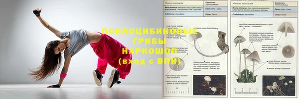 мяу мяу мука Армянск