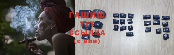 шишки Арсеньев