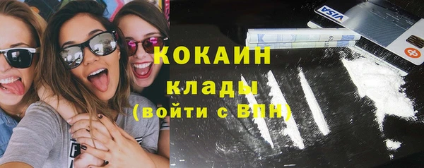 шишки Арсеньев