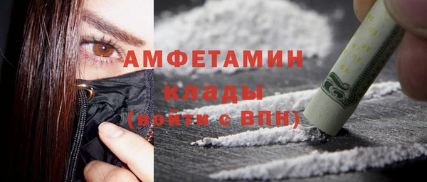 шишки Арсеньев