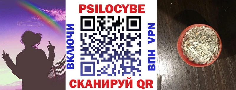 где купить наркотик  Пошехонье  Псилоцибиновые грибы Psilocybe 