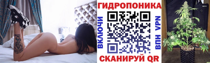 закладки  Пошехонье  Бошки Шишки AK-47 